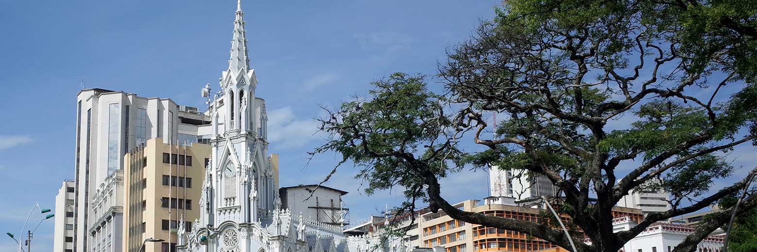 Gracias: las palabras de la gobernadora de Valle del Cauca